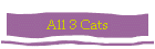 All 3 Cats