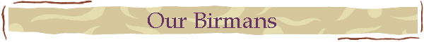 Our Birmans